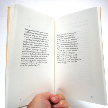 AGNES IN THE SKY, Poems by Di Brandt (1st Ed. SIGNED)