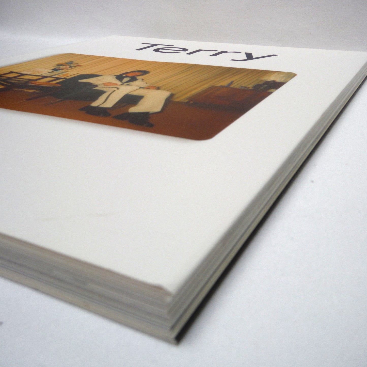 TERRY, by Douglas Coupland (2005 1st Ed.)