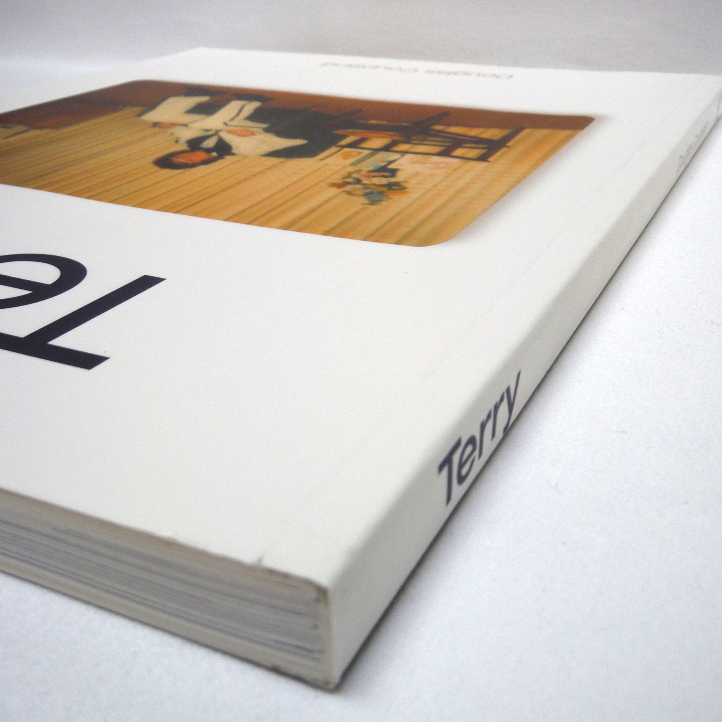TERRY, by Douglas Coupland (2005 1st Ed.)