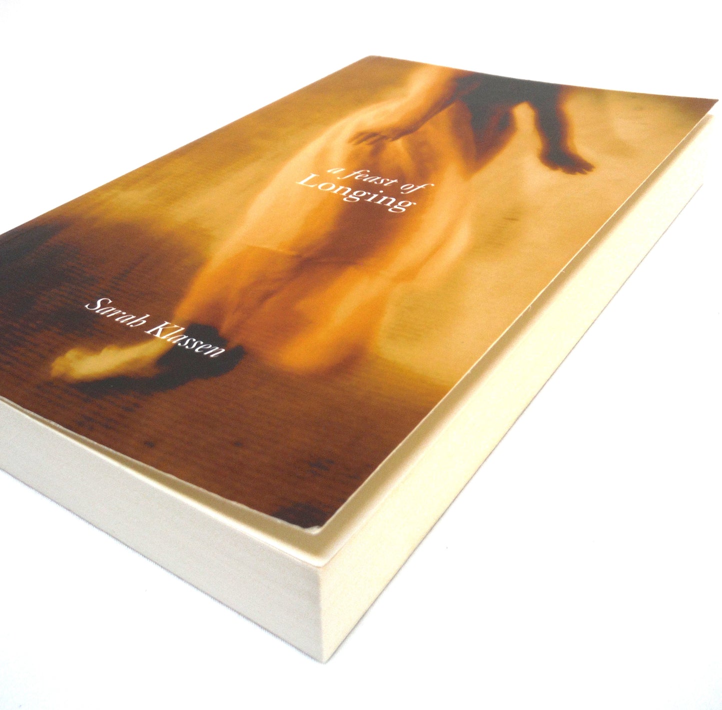 A FEAST OF LONGING, A Novel by Sarah Klassen (2007 1st Ed.)