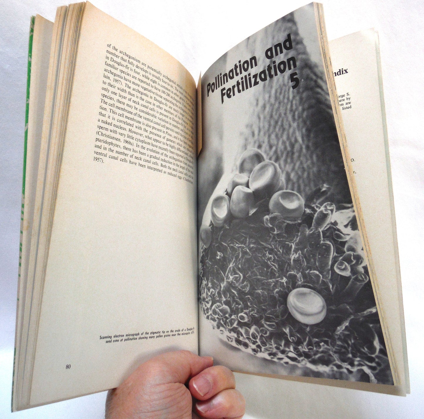 THE LIFE HISTORY OF DOUGLAS FIR, By George S. Allen and John N. Owens of Environment Canada Forestry Service (1972 1st Ed.)
