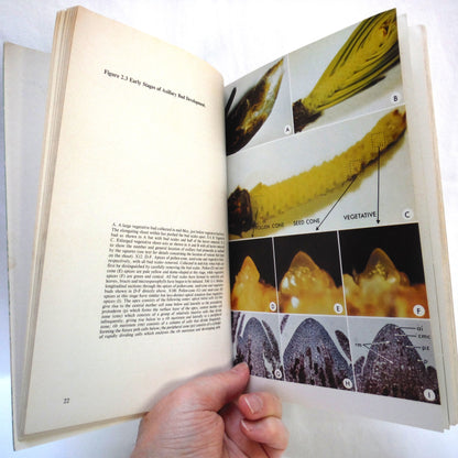 THE LIFE HISTORY OF DOUGLAS FIR, By George S. Allen and John N. Owens of Environment Canada Forestry Service (1972 1st Ed.)