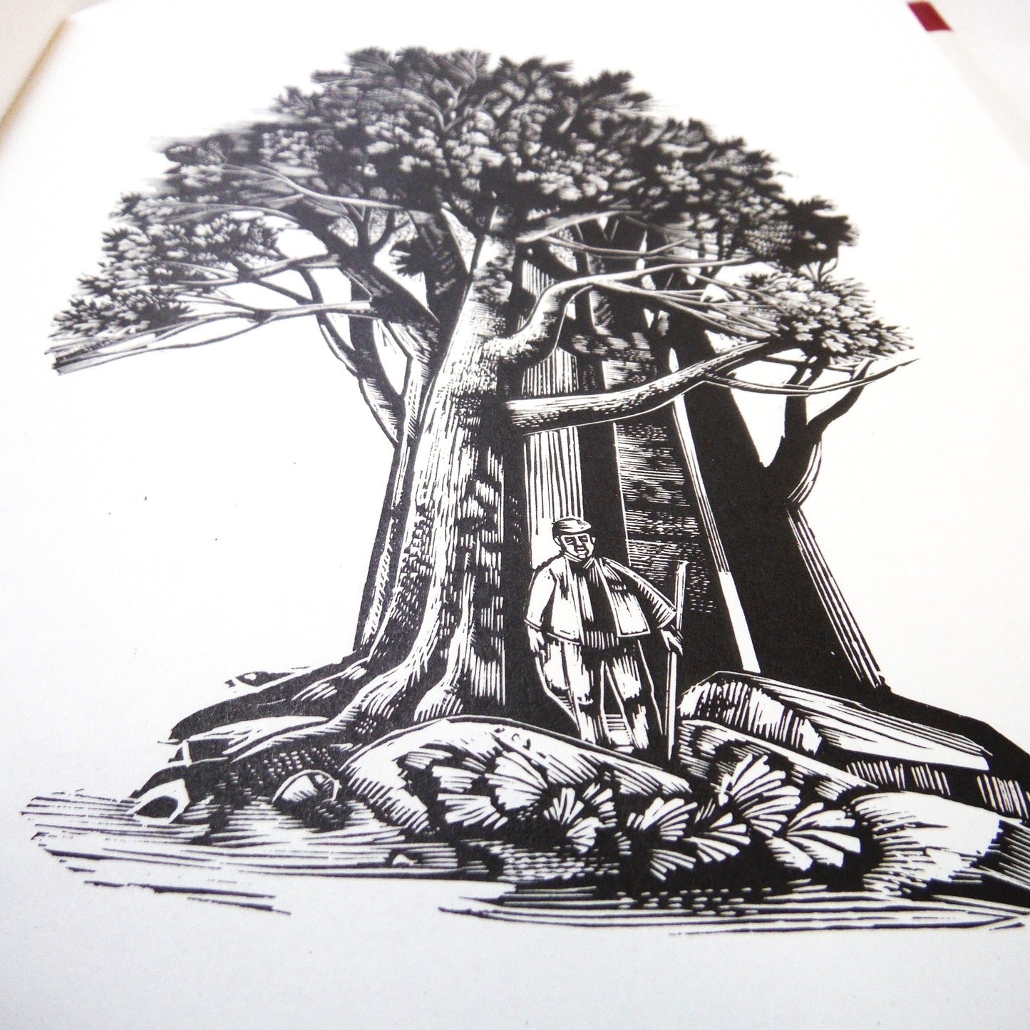 THE MAN WHO PLANTED TREES, A Story by Jean Giono, Twentieth Anniversary Hardcover Edition (2005 1st Ed.)