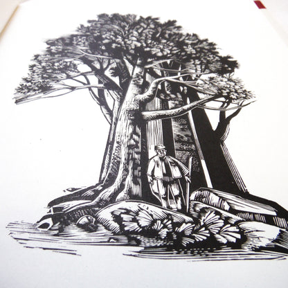 THE MAN WHO PLANTED TREES, A Story by Jean Giono, Twentieth Anniversary Hardcover Edition (2005 1st Ed.)