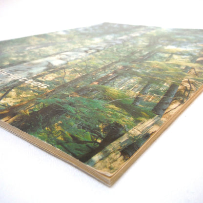 THE CHARLOTTES, by The Queen Charlotte Islands Museum Society, Volume 5, Edited by Trisha Gessler (1980 1st Ed.)