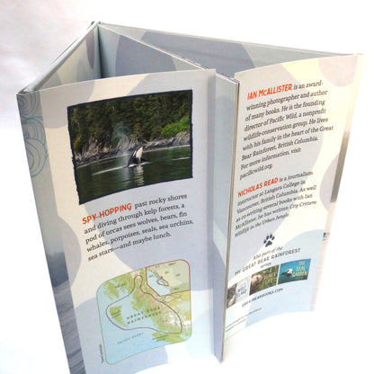 A WHALE'S WORLD, by Ian McAllister & Nicholas Read (2018 1st Ed.)