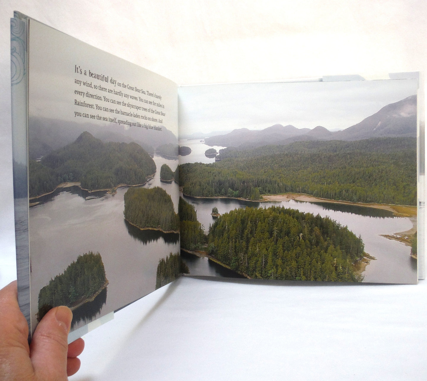 A WHALE'S WORLD, by Ian McAllister & Nicholas Read (2018 1st Ed.)