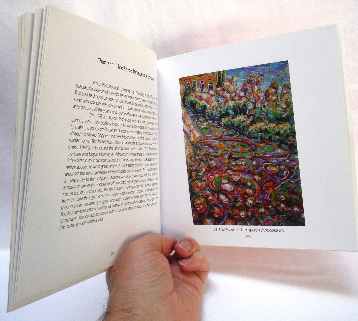 BRIAN SCOTT, THE BC PAINTER 2-PACK OF ART BOOKS: Paintings and Stories of Arizona, and Skiing On The Island (BOTH SIGNED 1st Ed.)