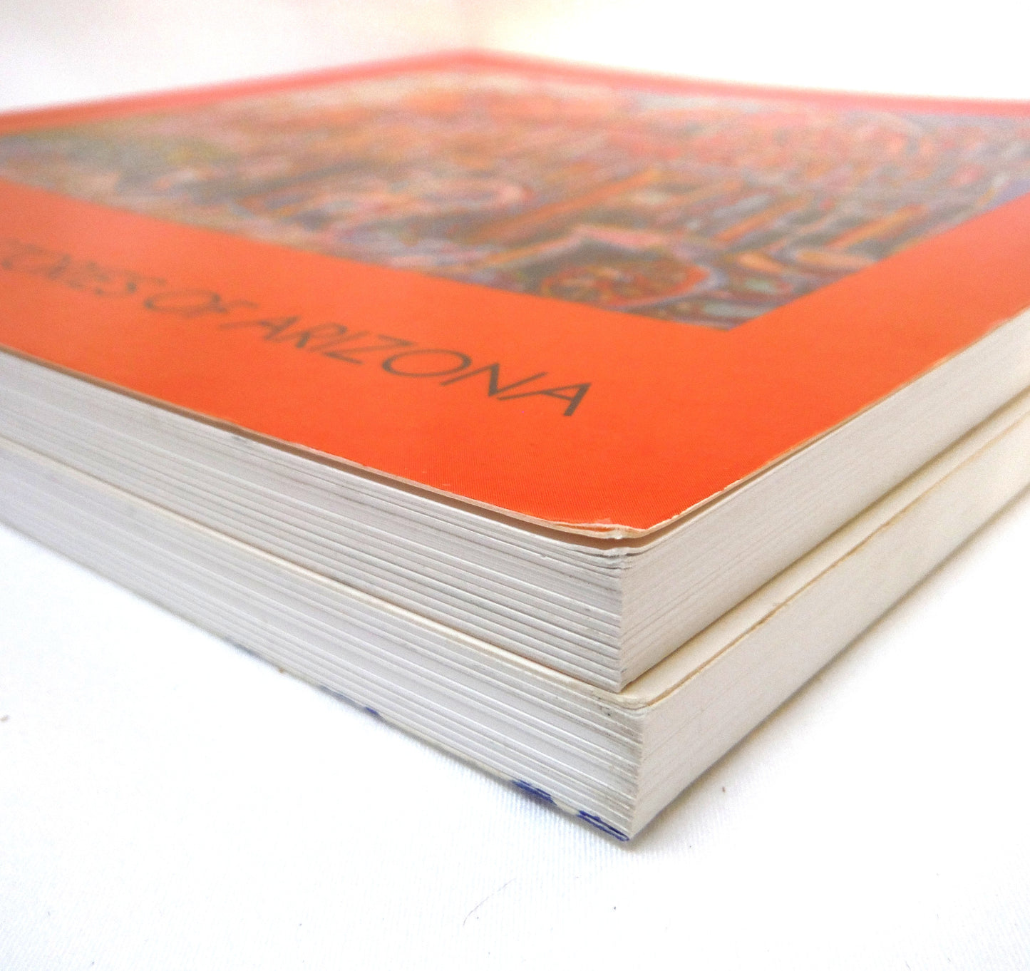 BRIAN SCOTT, THE BC PAINTER 2-PACK OF ART BOOKS: Paintings and Stories of Arizona, and Skiing On The Island (BOTH SIGNED 1st Ed.)