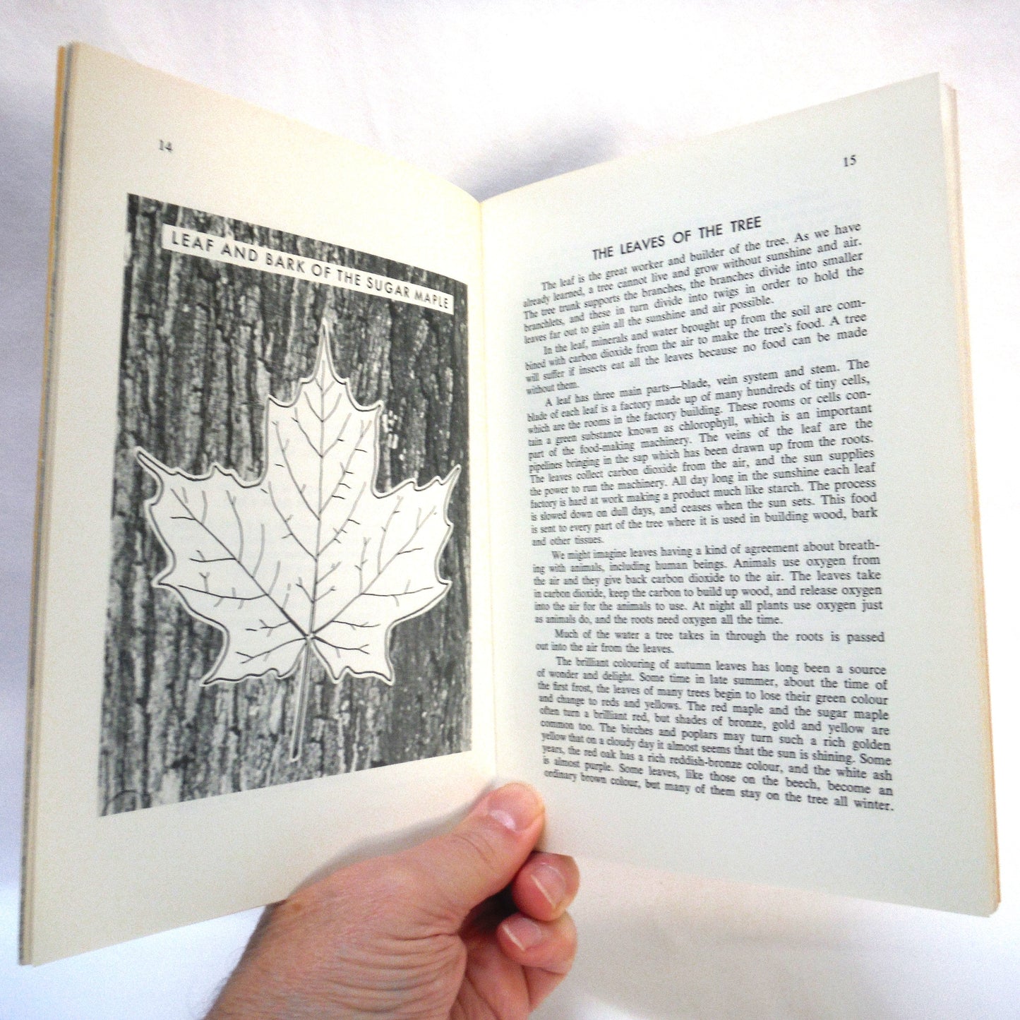 FORESTRY LESSONS, by The Department of Forestry Canada, Authority of The Honourable Maurice Sauve, P.C., M.P., Minister of Forestry Ottawa, 1964, Sixth Edition Second Impression