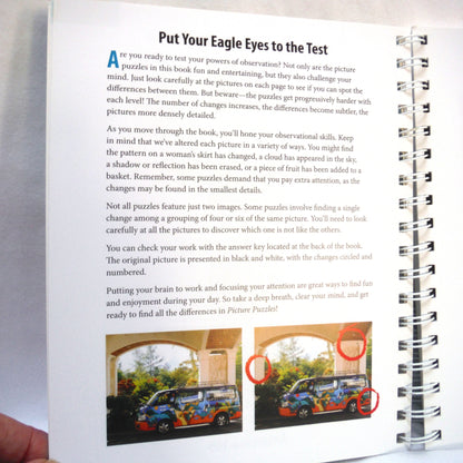 PICTURE PUZZLES, How Many Differences Can You Find? By Brain Games (2009 1st Ed.)