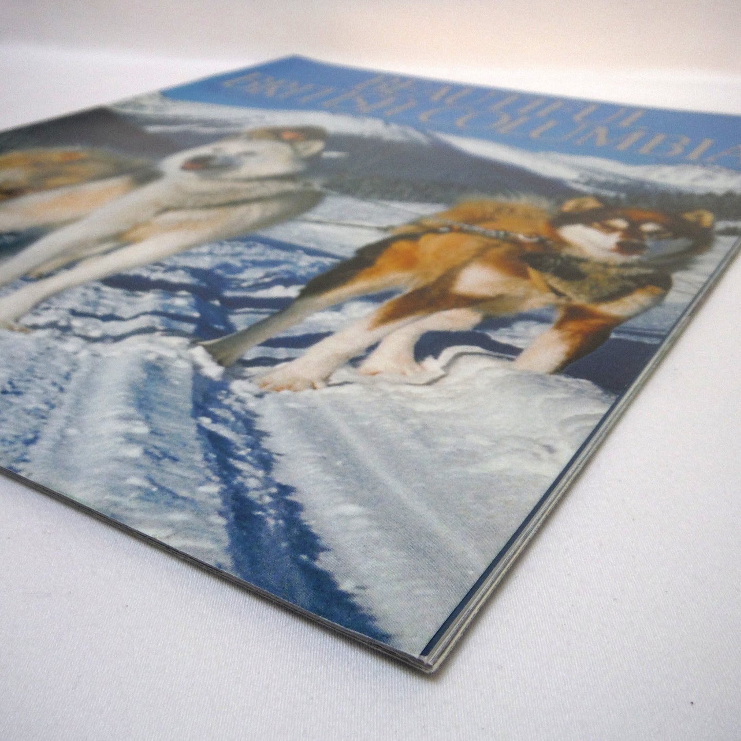 BEAUTIFUL BRITISH COLUMBIA MAGAZINE, The Dogs of Winter Wilderness Adventure, Volume 37, Number 4, Winter 1995