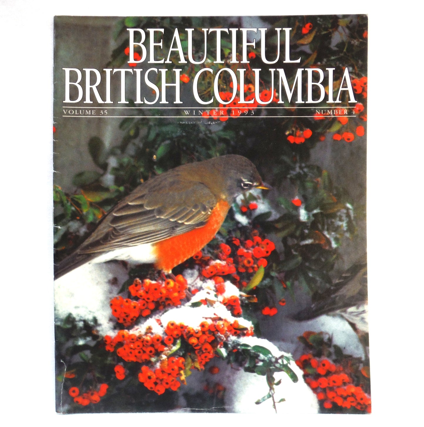 BEAUTIFUL BRITISH COLUMBIA MAGAZINE, The Tatshenshini River Wilderness Park, Volume 35, Number 4, Winter 1993