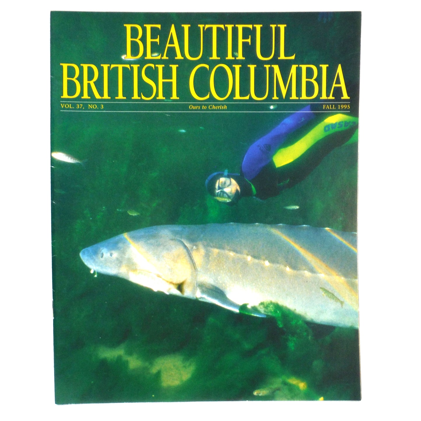 BEAUTIFUL BRITISH COLUMBIA MAGAZINE, What's Killing the Sturgeon?, Volume 37, Number 3, Fall 1995