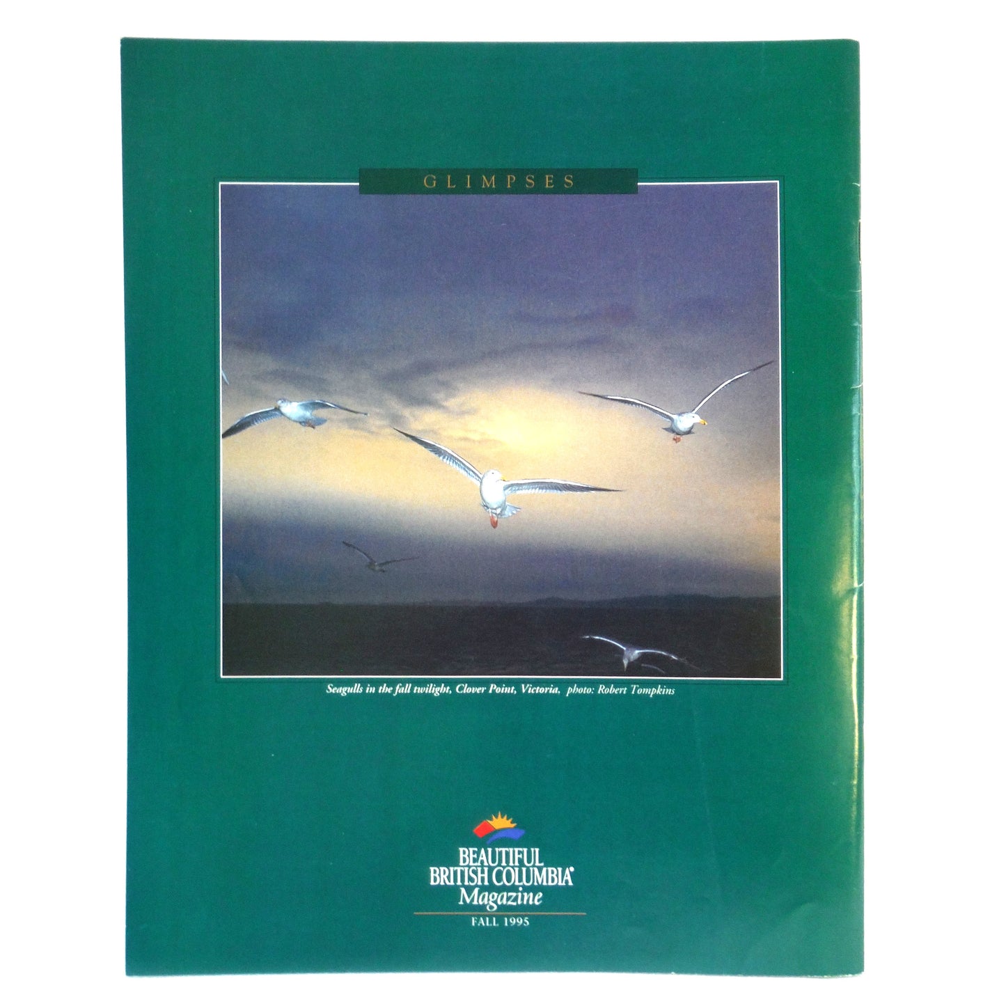 BEAUTIFUL BRITISH COLUMBIA MAGAZINE, What's Killing the Sturgeon?, Volume 37, Number 3, Fall 1995