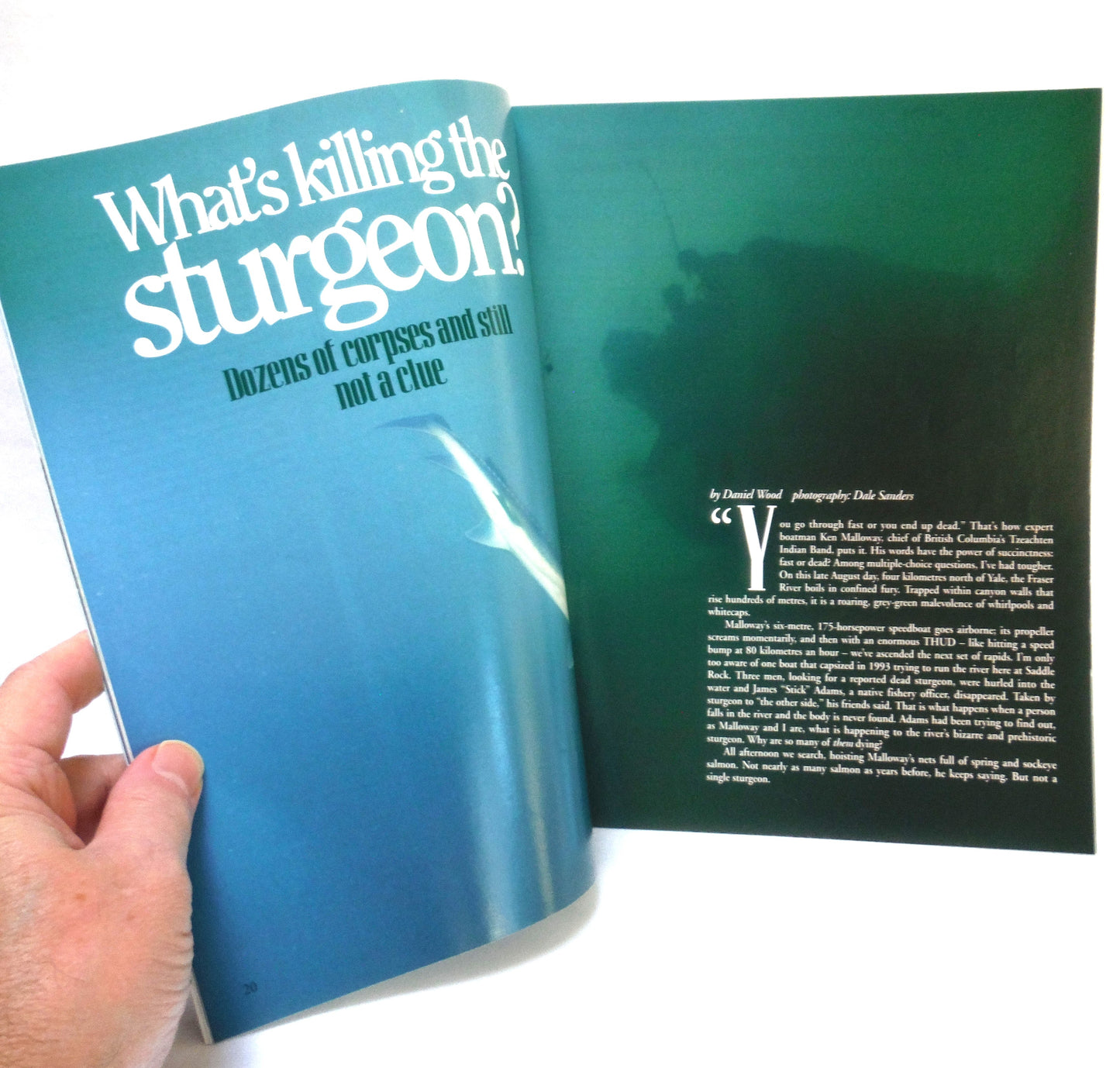 BEAUTIFUL BRITISH COLUMBIA MAGAZINE, What's Killing the Sturgeon?, Volume 37, Number 3, Fall 1995