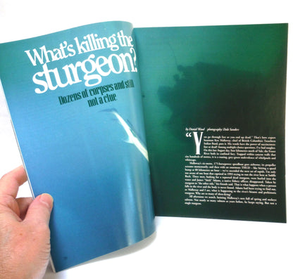BEAUTIFUL BRITISH COLUMBIA MAGAZINE, What's Killing the Sturgeon?, Volume 37, Number 3, Fall 1995