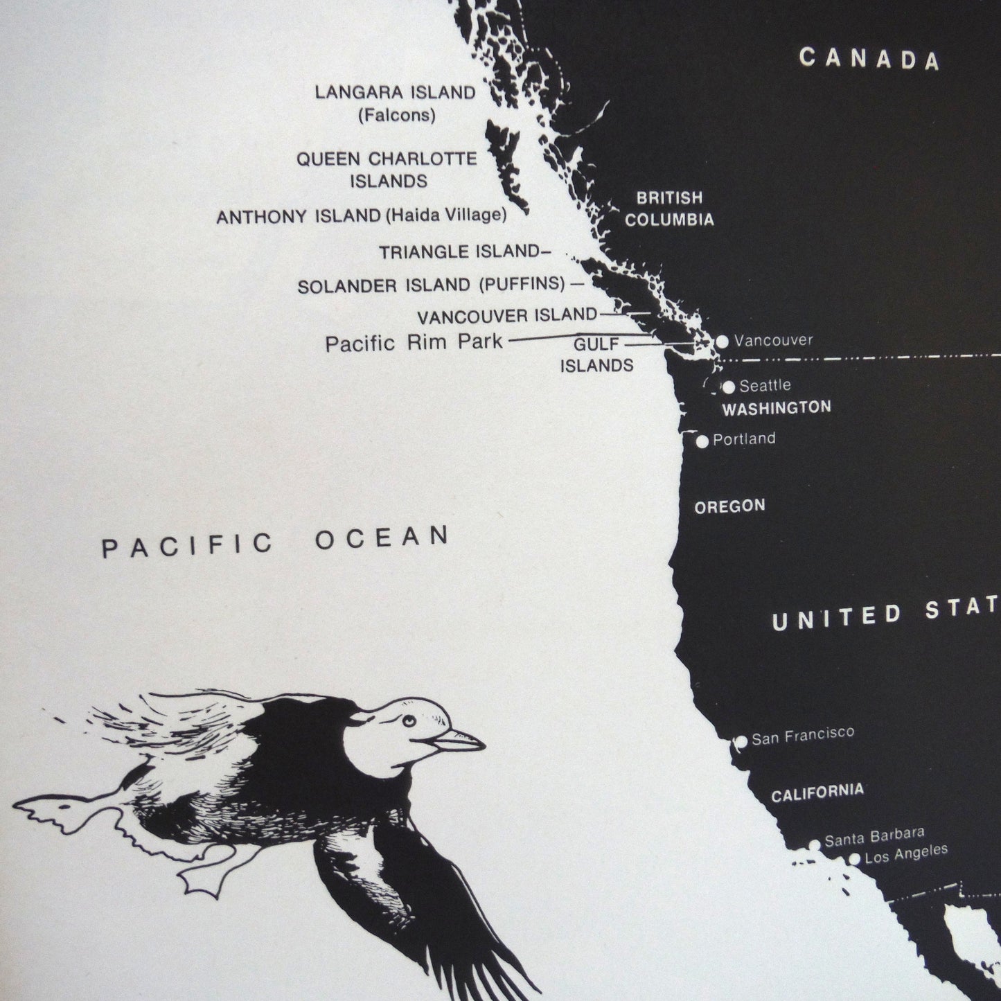 PACIFIC WILDERNESS AND THE PACIFIC RIM PARK, A Vintage Guide by David & Lyn Hancock and David Stirling (1974 1st Ed.)