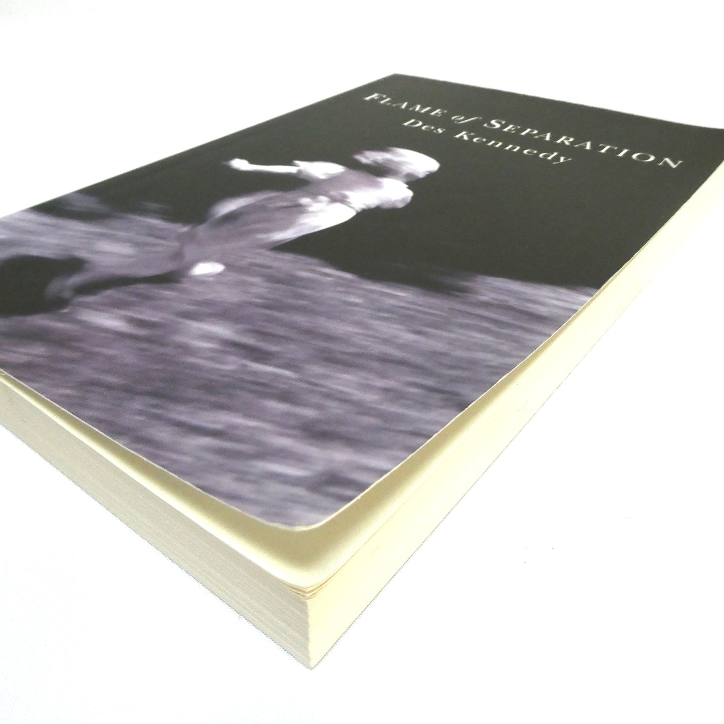 FLAMES OF SEPARATIONS, A Novel by Des Kennedy (1st Ed. SIGNED)