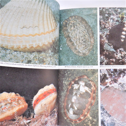 EXPLORING THE SEASHORE in British Columbia, Washington, and Oregon, by Gloria Snively (1985-Signed)