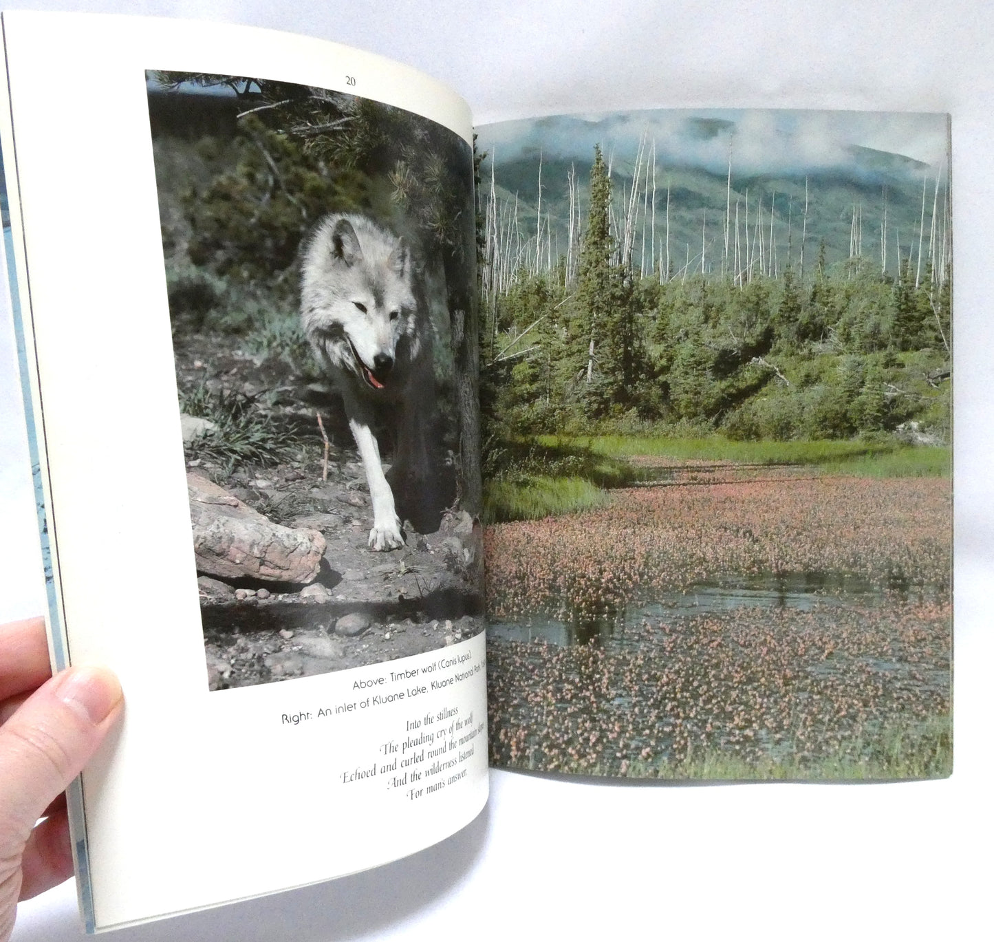 ENCHANTED WILDERNESS, Canada's Western Wonderlands, by George Brybycin (1st Ed. SIGNED)
