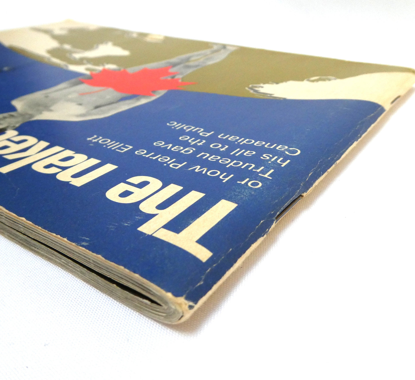 THE NAKED PRIME MINISTER, or how Pierre Elliott Trudeau gave his all to the Canadian Public, a funny kind of love story by Michael Cowley (1969 1st Ed.)