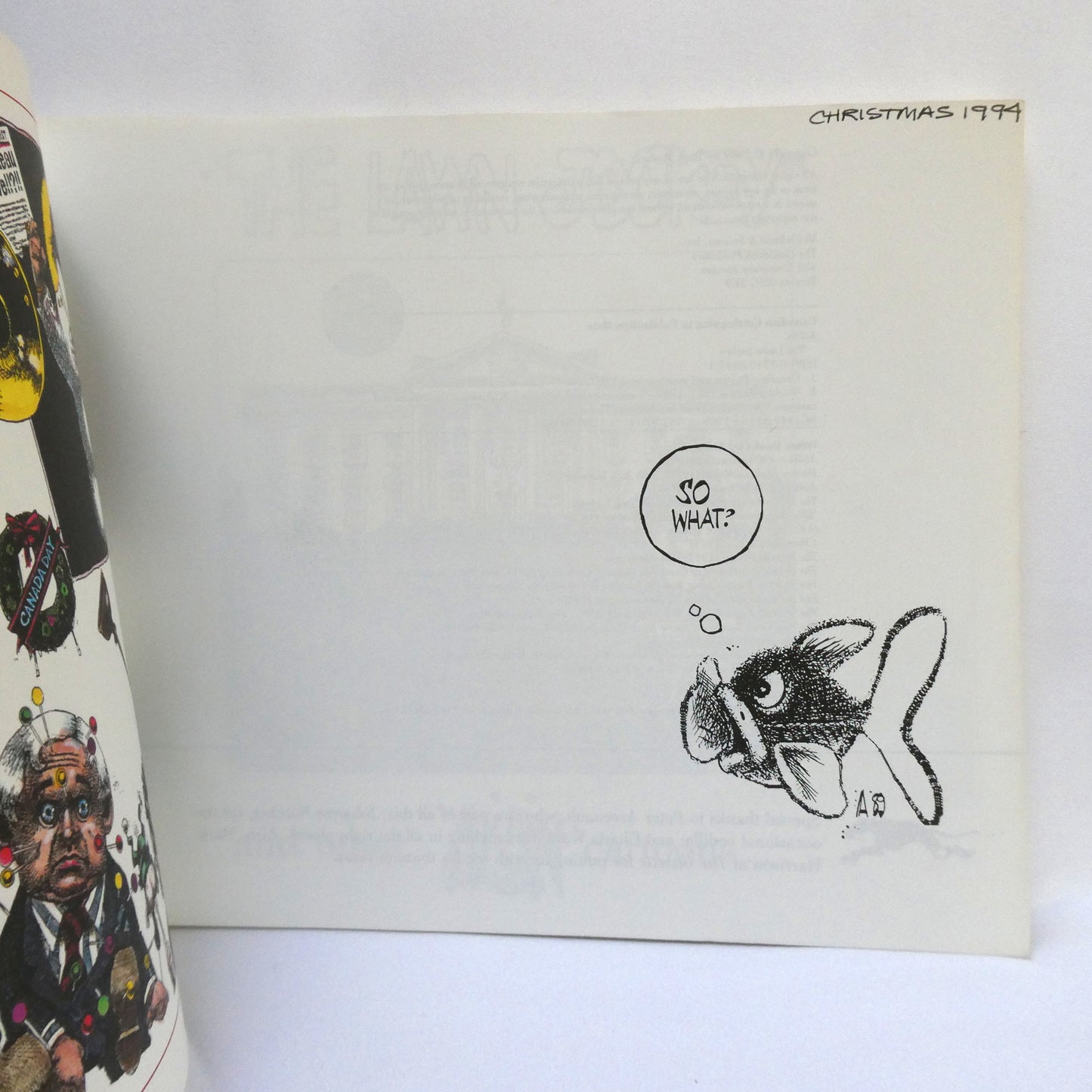 THE LAWN JOCKEY, And Other AISLIN Cartoons by Terry Mosher (1989 1st Ed.)