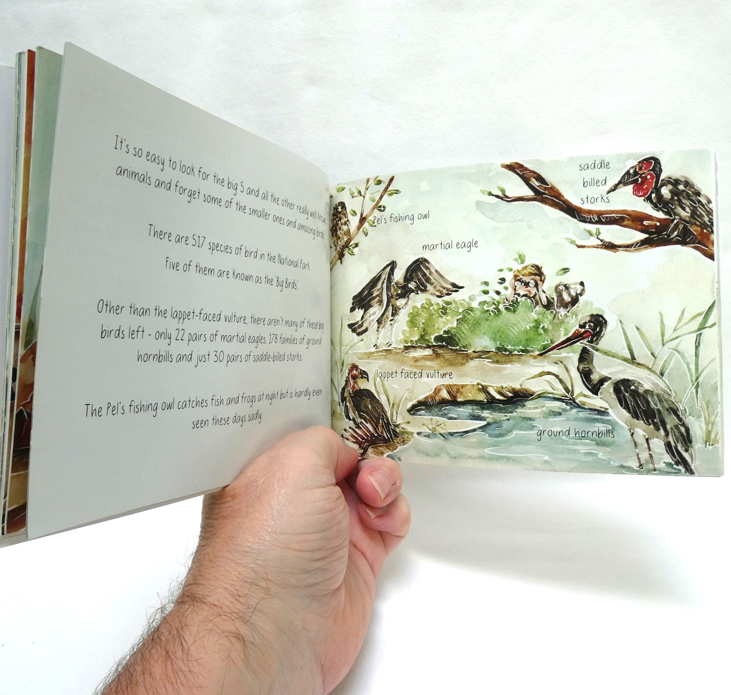 ME & HENRY By Mark Jeynes, Two-Book Special Package Includes Me & Henry Transport You, and Me & Henry Go On Safari