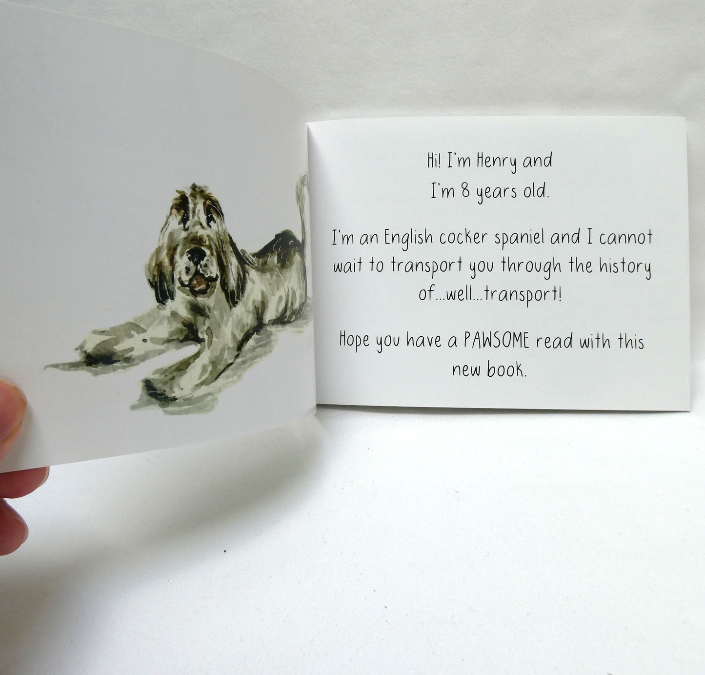 ME & HENRY By Mark Jeynes, Two-Book Special Package Includes Me & Henry Transport You, and Me & Henry Go On Safari