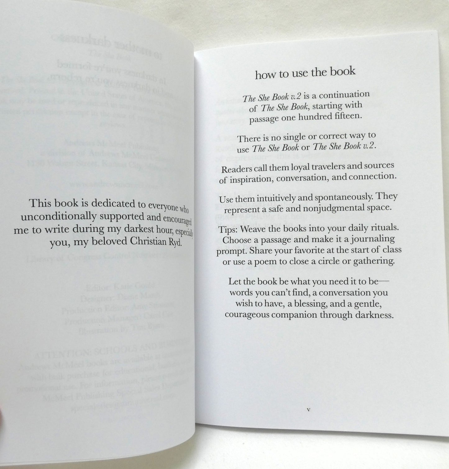 THE SHE BOOK, and THE SHE BOOK VOLUME 2, Two-Book Special Package by Tanya Markul