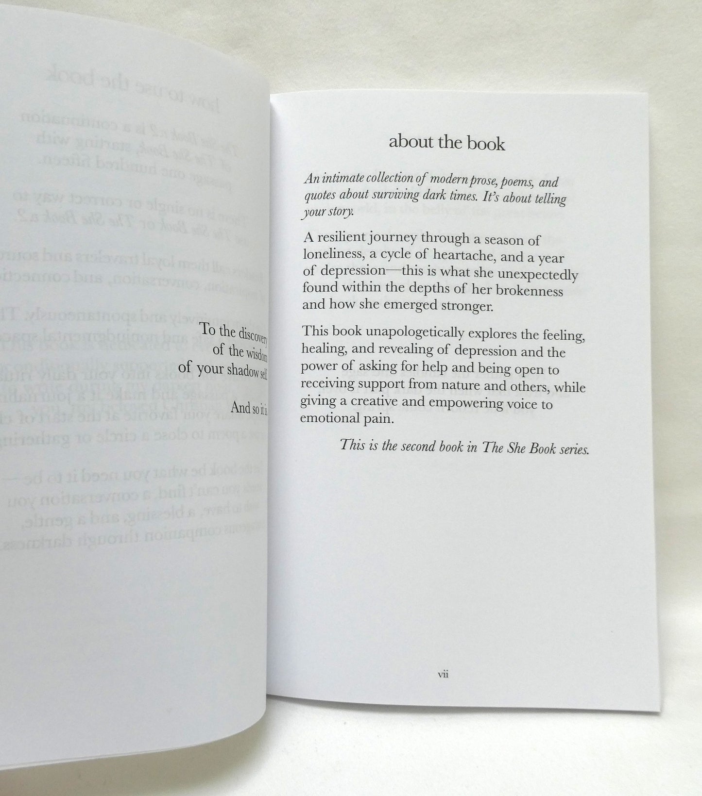 THE SHE BOOK, and THE SHE BOOK VOLUME 2, Two-Book Special Package by Tanya Markul