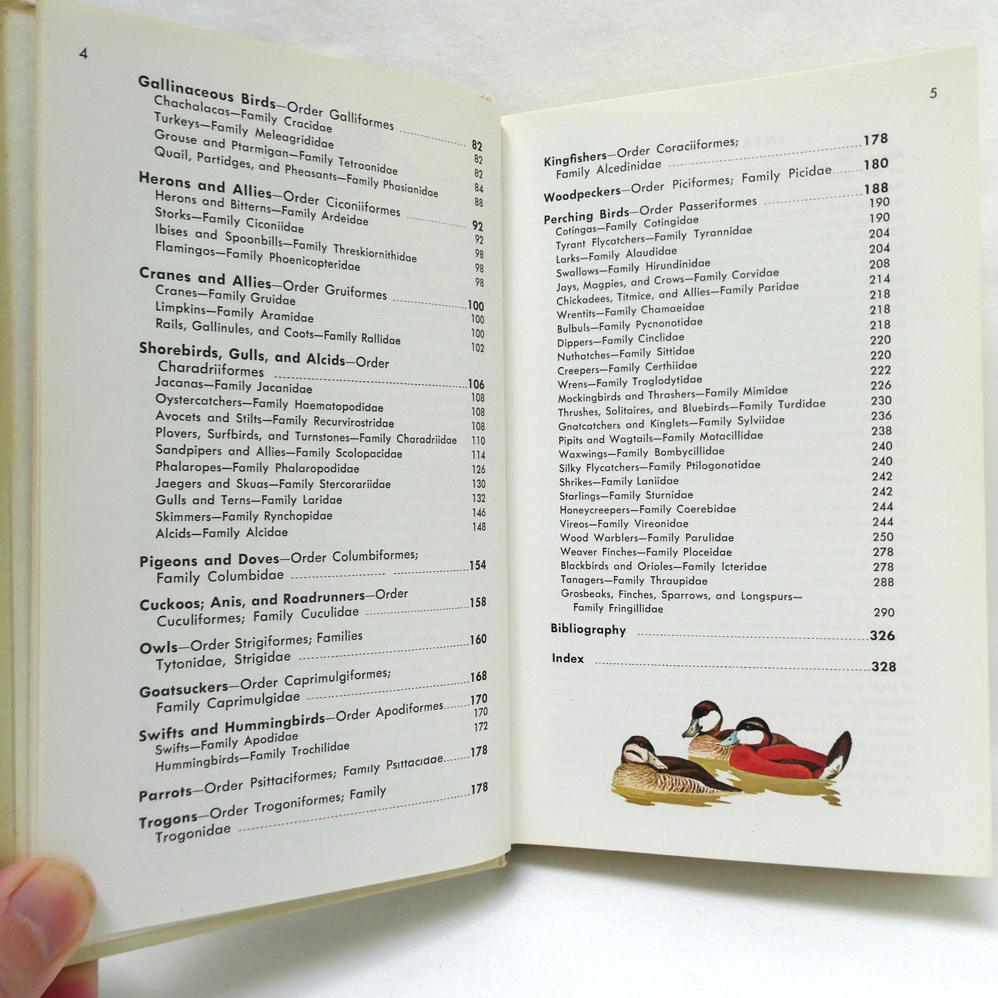 BIRDS OF NORTH AMERICA, A Vintage Golden Guide to Bird Field Identification (1966 1st Ed.)