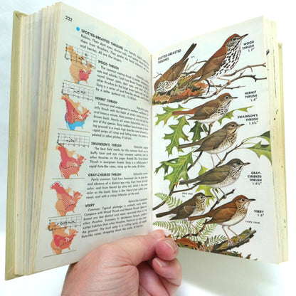 BIRDS OF NORTH AMERICA, A Vintage Golden Guide to Bird Field Identification (1966 1st Ed.)