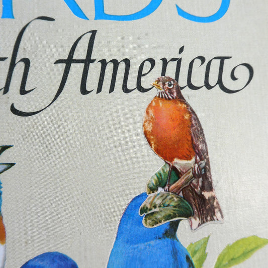BIRDS OF NORTH AMERICA, A Vintage Golden Guide to Bird Field Identification (1966 1st Ed.)