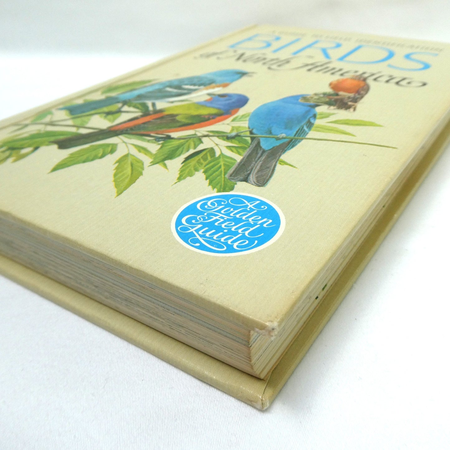 BIRDS OF NORTH AMERICA, A Vintage Golden Guide to Bird Field Identification (1966 1st Ed.)