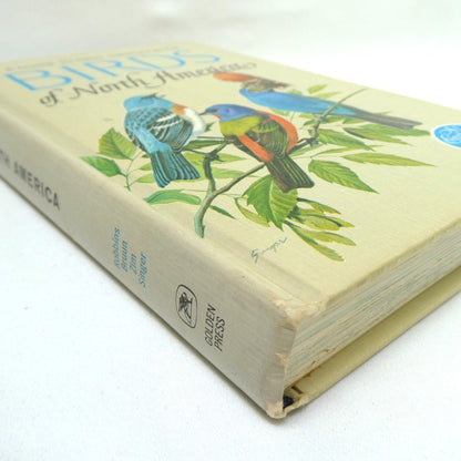 BIRDS OF NORTH AMERICA, A Vintage Golden Guide to Bird Field Identification (1966 1st Ed.)