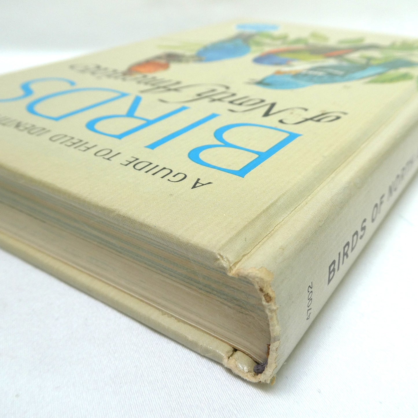 BIRDS OF NORTH AMERICA, A Vintage Golden Guide to Bird Field Identification (1966 1st Ed.)