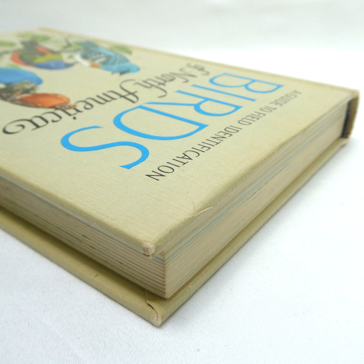 BIRDS OF NORTH AMERICA, A Vintage Golden Guide to Bird Field Identification (1966 1st Ed.)