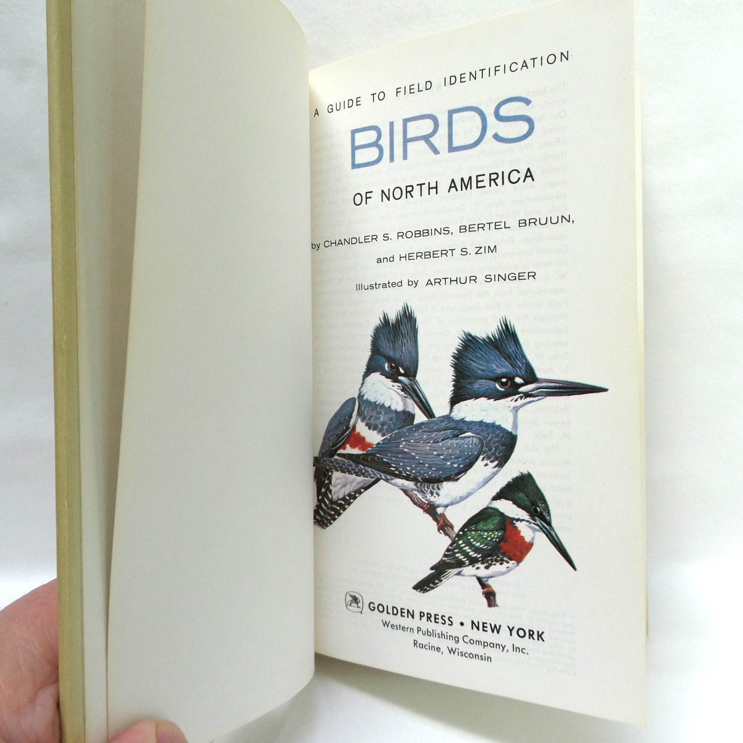 BIRDS OF NORTH AMERICA, A Vintage Golden Guide to Bird Field Identification (1966 1st Ed.)