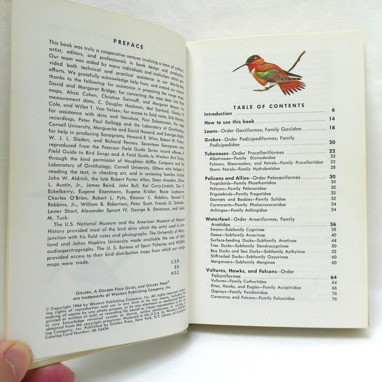 BIRDS OF NORTH AMERICA, A Vintage Golden Guide to Bird Field Identification (1966 1st Ed.)