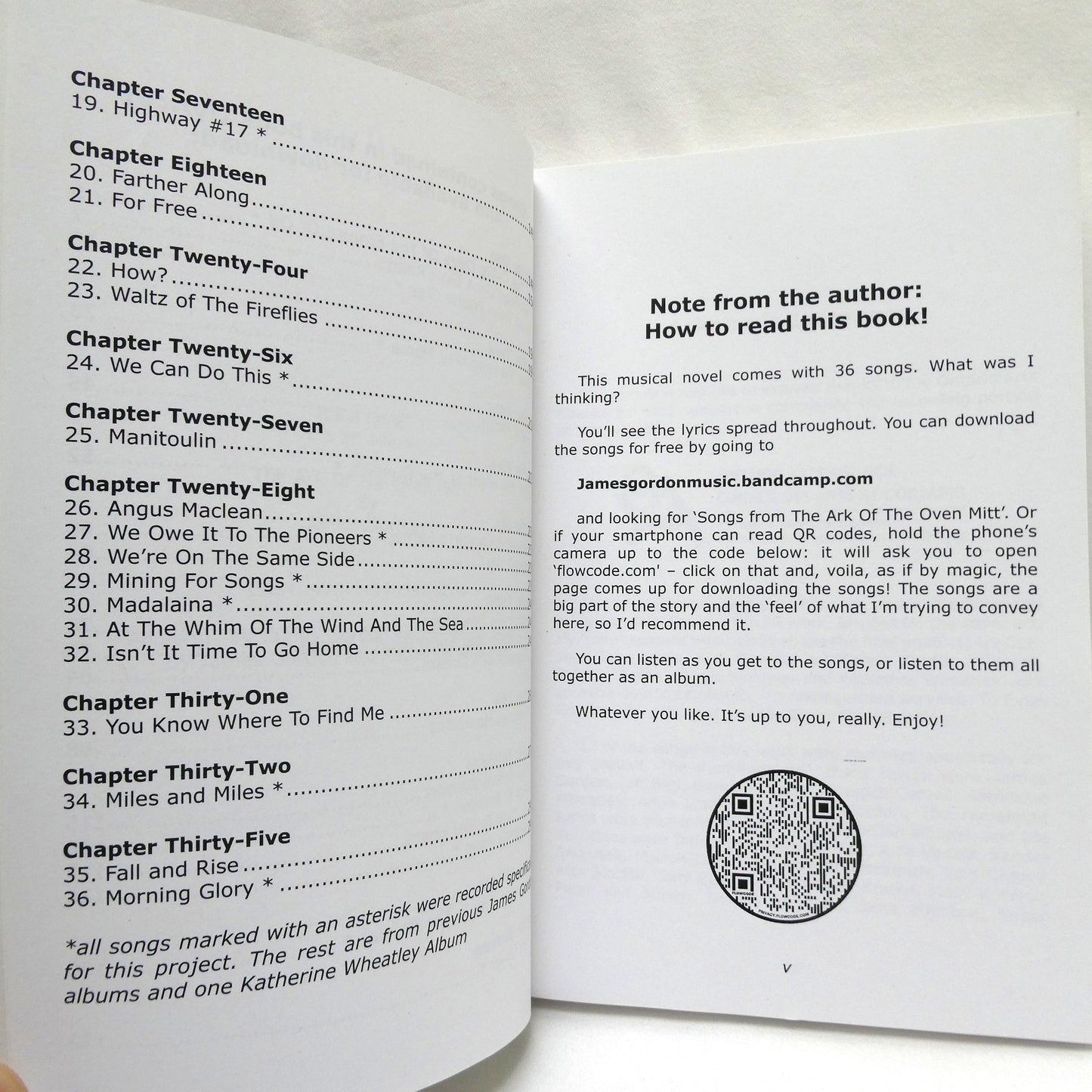 THE ARK OF THE OVEN MITT, It's a novel, it's an album, it's… by James Gordon (1st Ed. SIGNED)