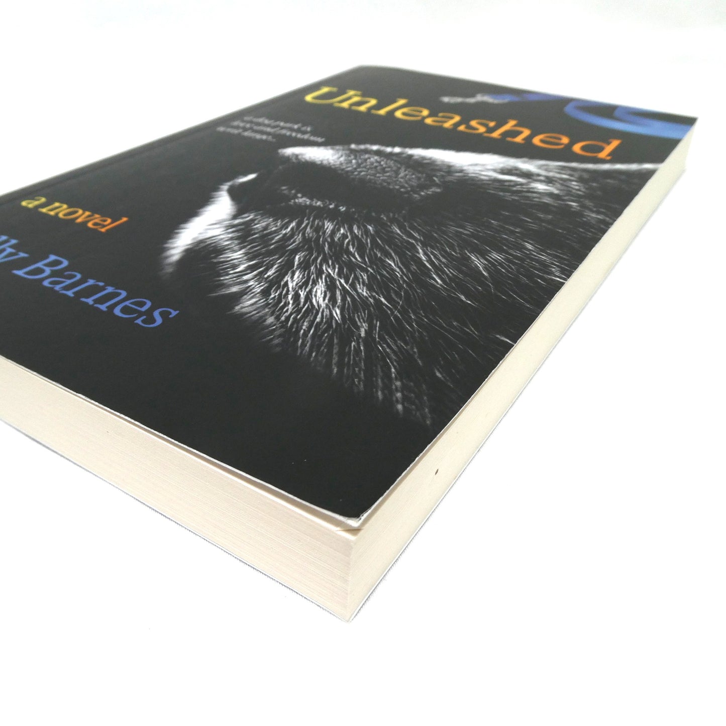 UNLEASHED, A Novel by Sally Barnes (1st Ed. SIGNED)