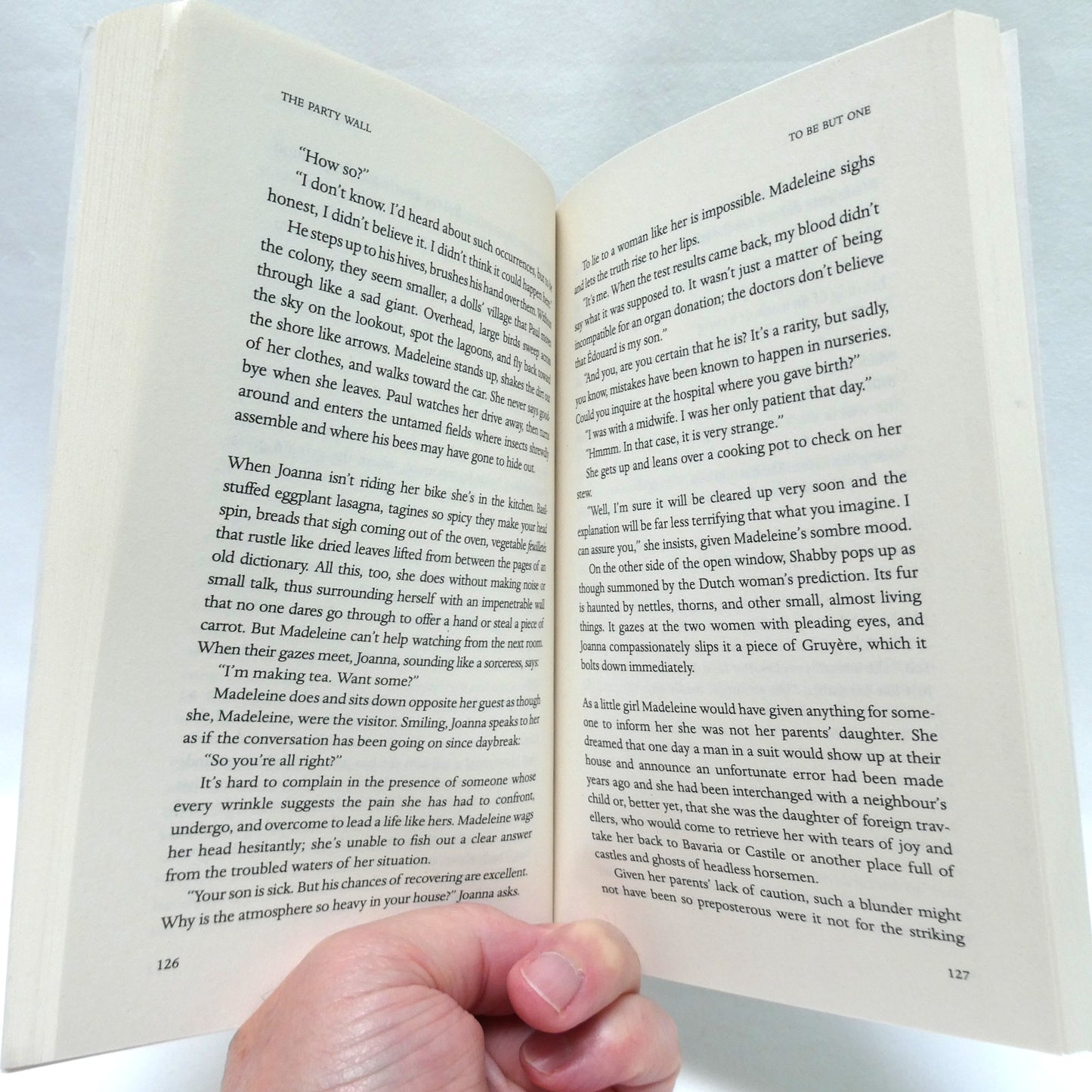 THE PARTY WALL, Stories by Catherine Leroux (1st Ed. SIGNED)