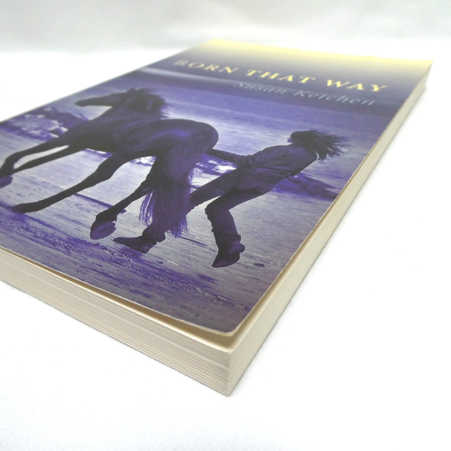 BORN THAT WAY, A Young Readers Novel by Susan Ketchen (2009 1st Ed.)