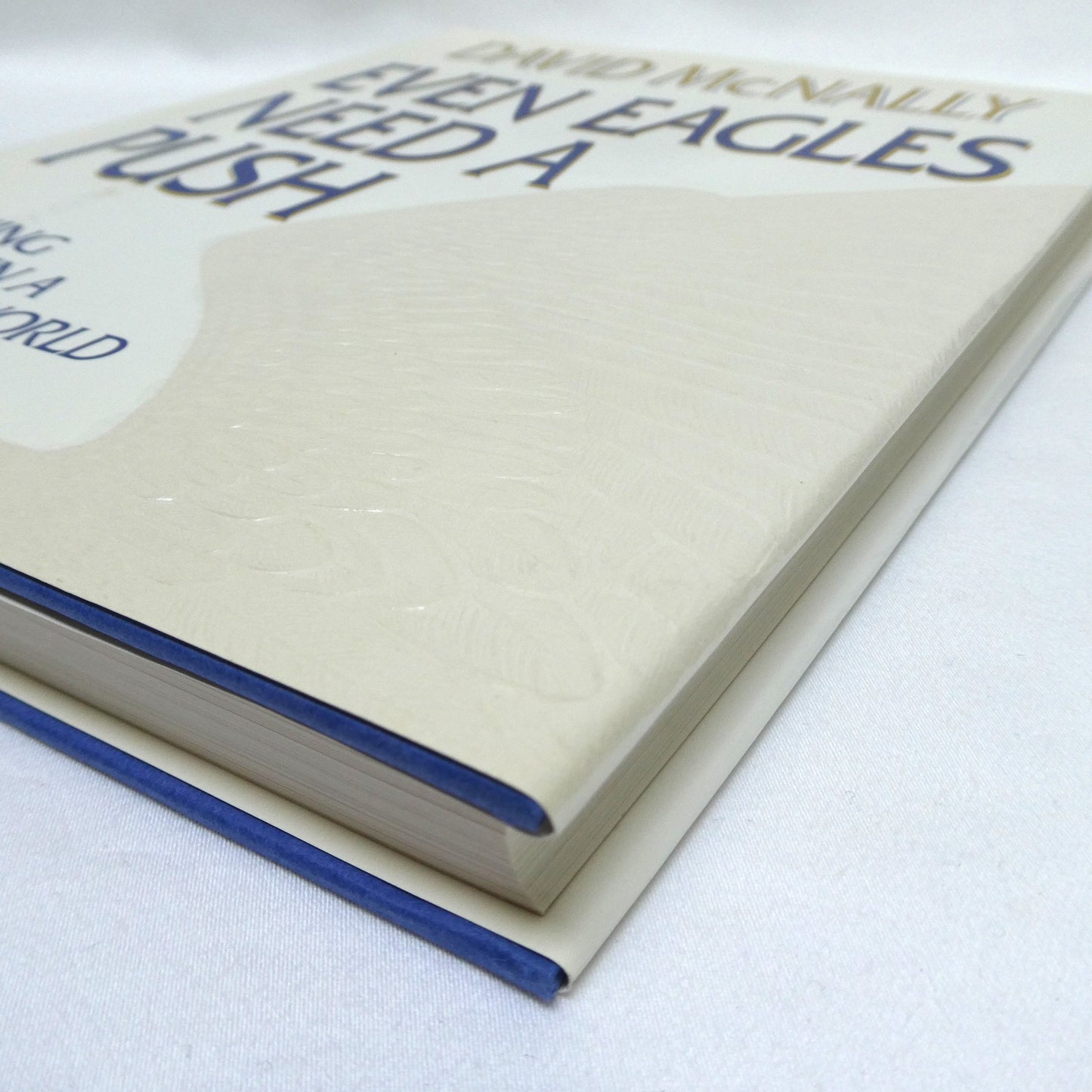 EVEN EAGLES NEED A PUSH, Learning to Soar in a Changing World, by David McNally (1st Ed. SIGNED)
