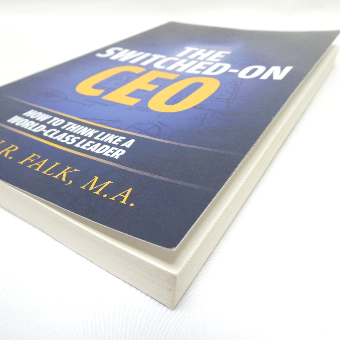 THE SWITCHED-ON CEO, How to Think Like A World-Class Thinker, by Steven R. Falk, M.A. (1st Ed. SIGNED)