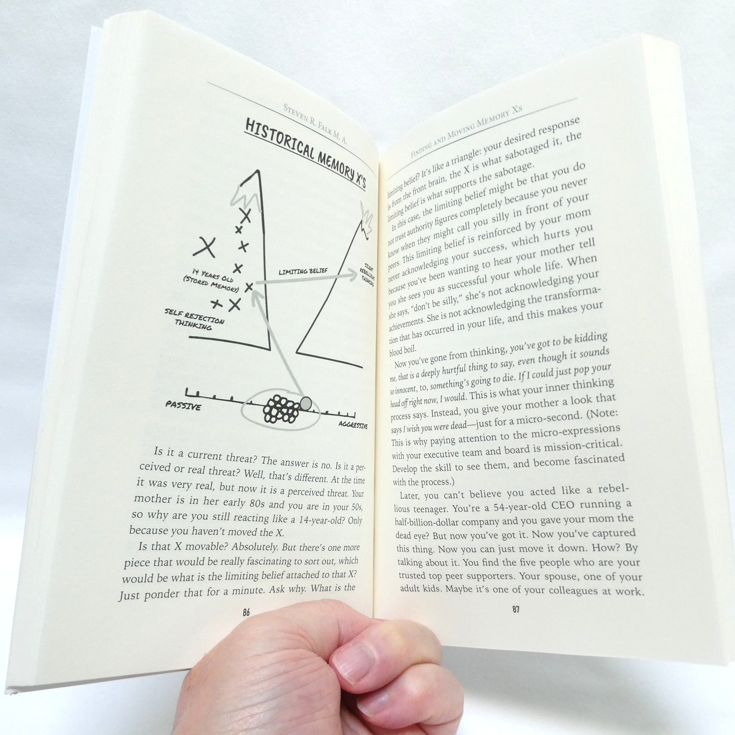 THE SWITCHED-ON CEO, How to Think Like A World-Class Thinker, by Steven R. Falk, M.A. (1st Ed. SIGNED)