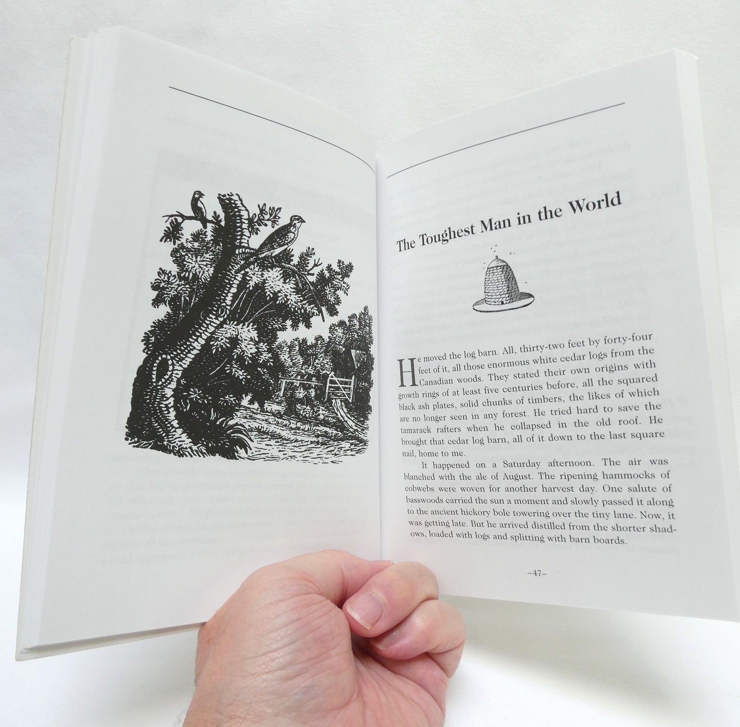 TIME WILL TELL, Stories of the Rideau Valley, by Diana Beresford-Kroeger (1st Ed. SIGNED)