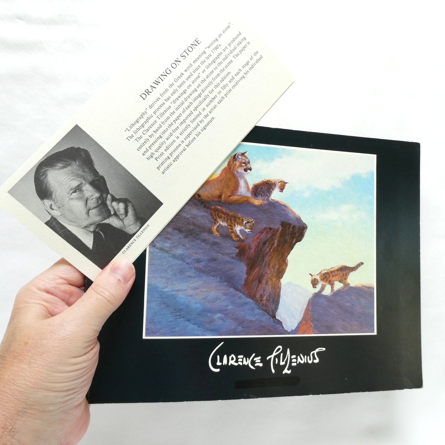 CLARENCE TILLENIUS, An Exhibition Presented by Agassiz Galleries of Winnipeg from 4-17 November 1984 (1st Ed. SIGNED)