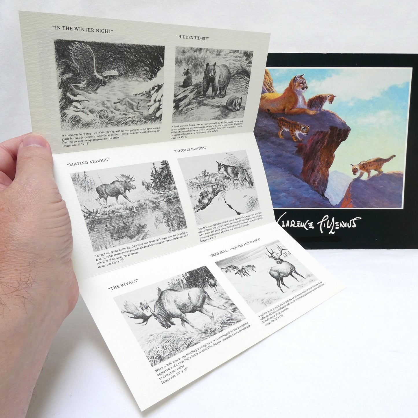 CLARENCE TILLENIUS, An Exhibition Presented by Agassiz Galleries of Winnipeg from 4-17 November 1984 (1st Ed. SIGNED)